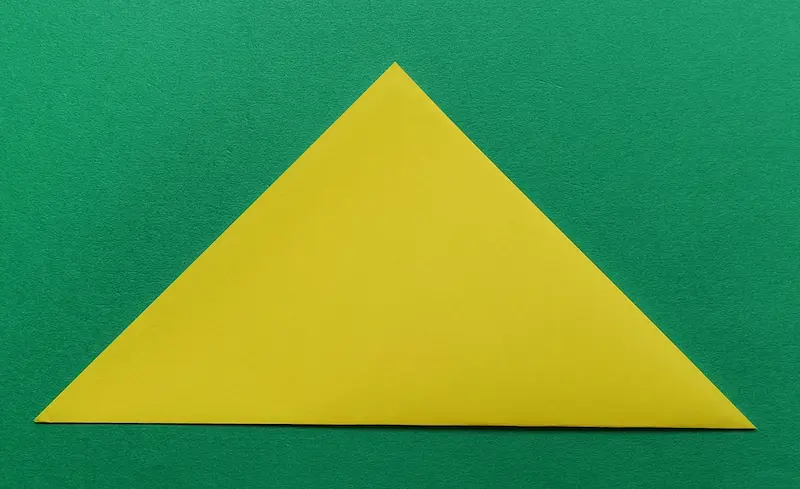 Fold the paper in half to make a triangle