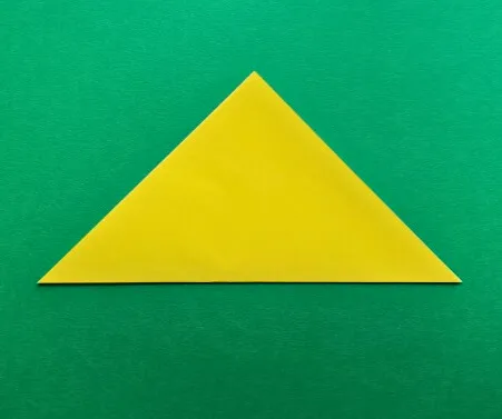 Fold the paper in half to make a triangle