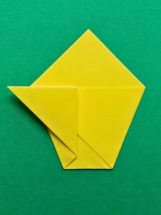 Fold left to make a wing