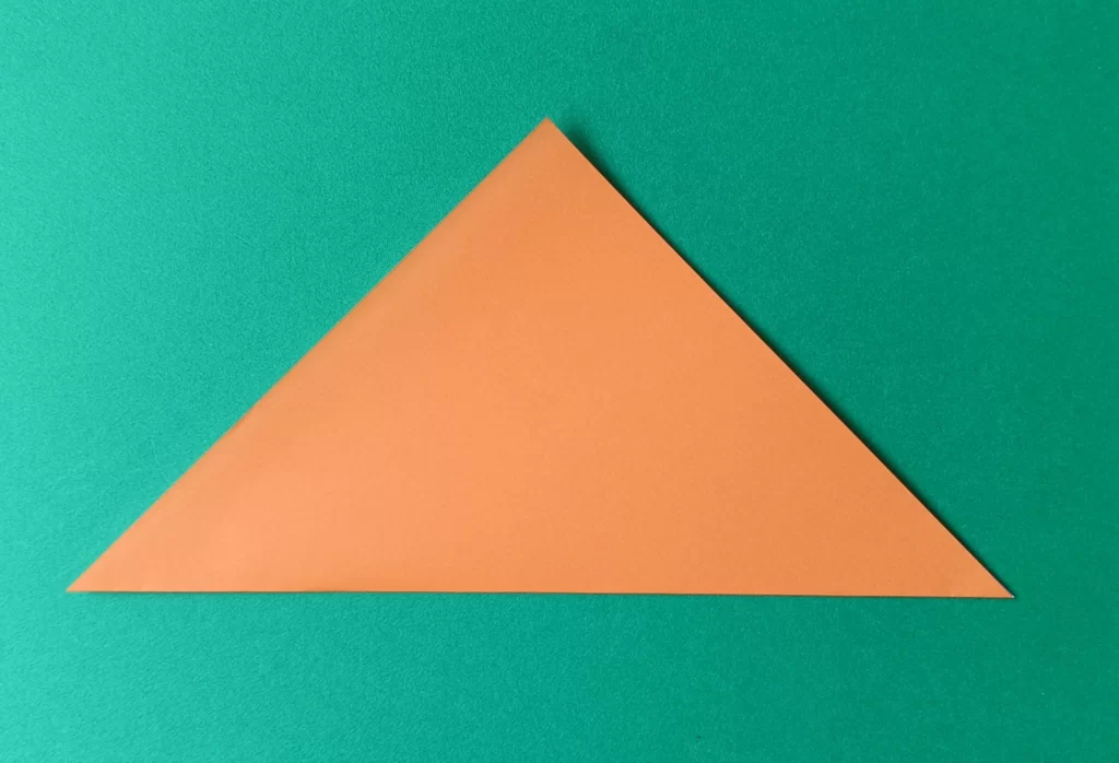 Fold the bottom corner up to the top corner