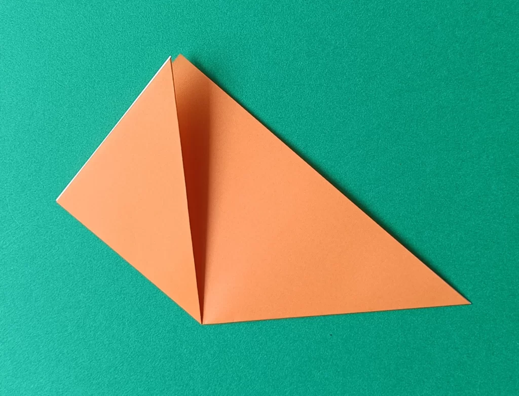 Fold the left corner up to the top point