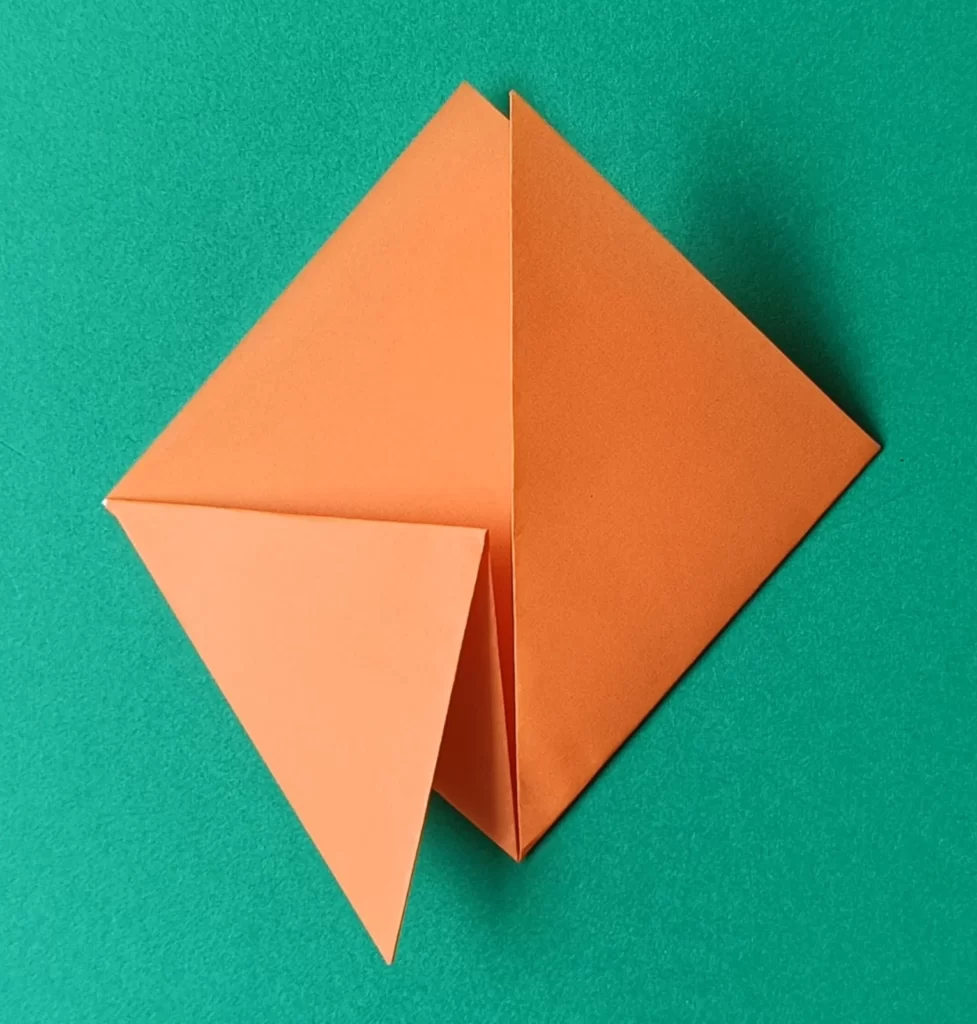 Fold the left top flap down at an angle