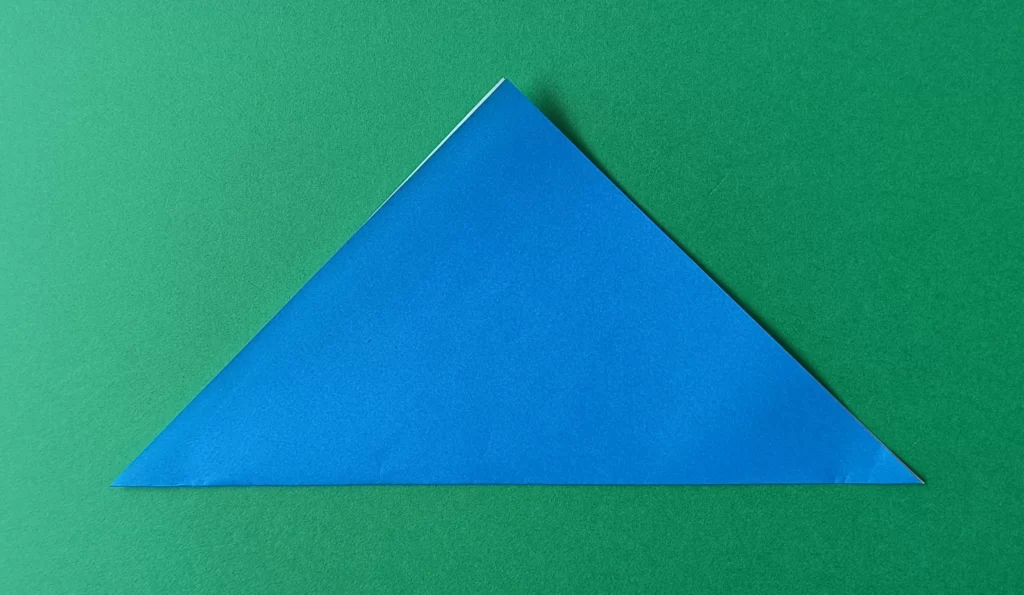 Fold the bottom corner up to the top corner