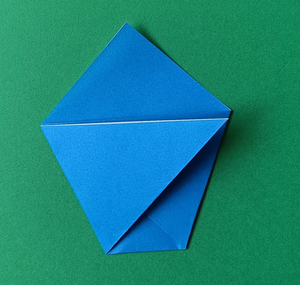 Fold the left corner to the right side.