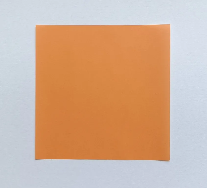 Place the square paper flat on the table.