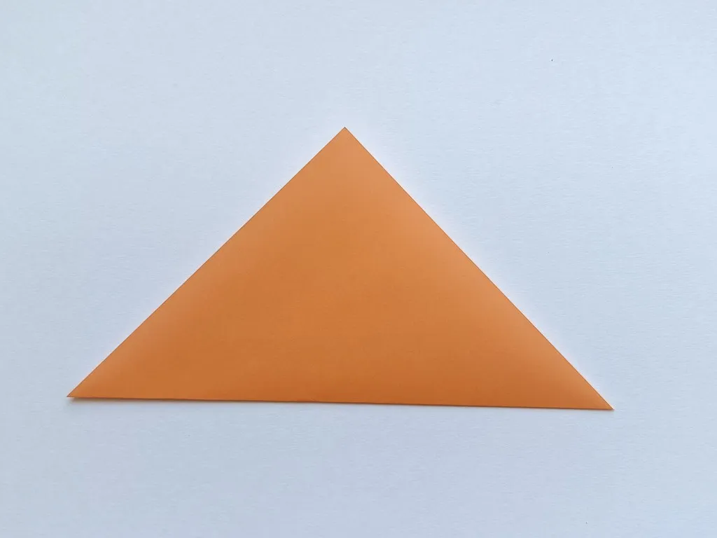 Fold the paper in half to make a triangle.