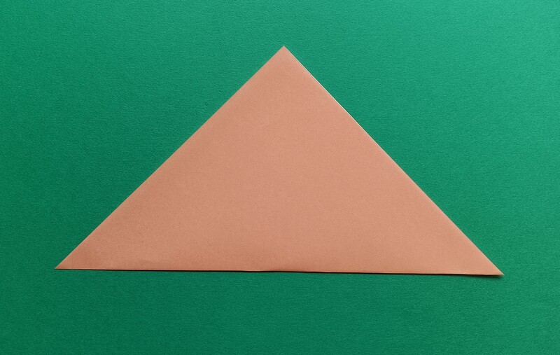 Fold the paper in half to make a triangle