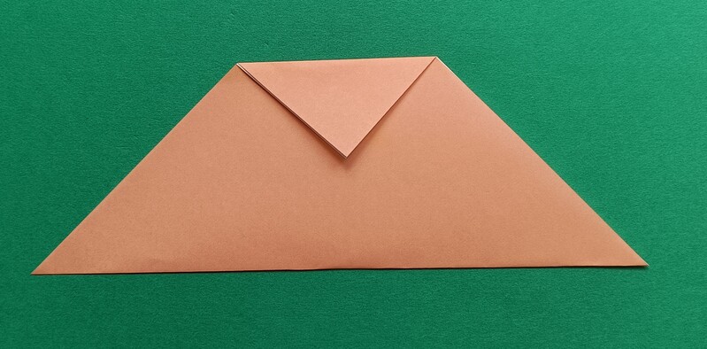 Fold the top corner down