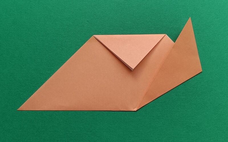 Fold the bottom right corner up diagonally