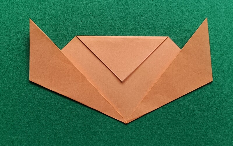 Fold the bottom left corner up diagonally