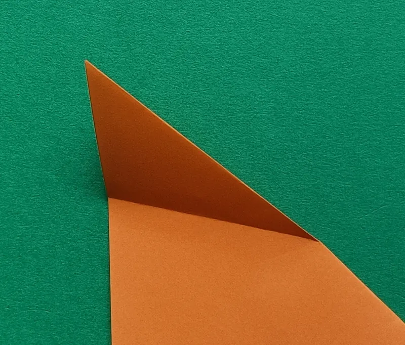 Open the flap gently