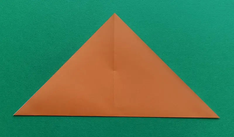 Fold the bottom corner up to the top corner