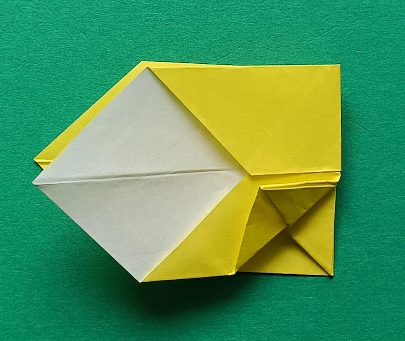 Fold the bottom-right corner to the middle