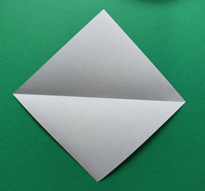 Make a fold across the middle, just like the picture