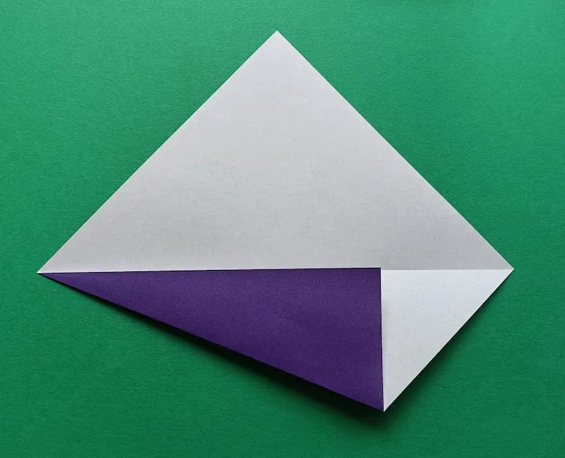 Fold the bottom edge up to the middle line