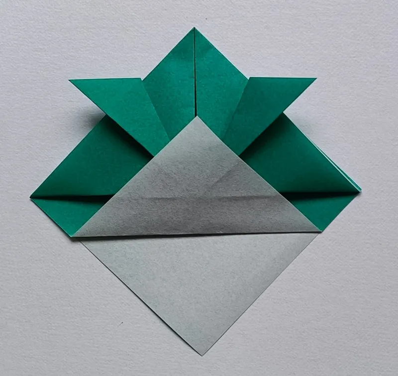 Take the top layer of the bottom corner and fold it up