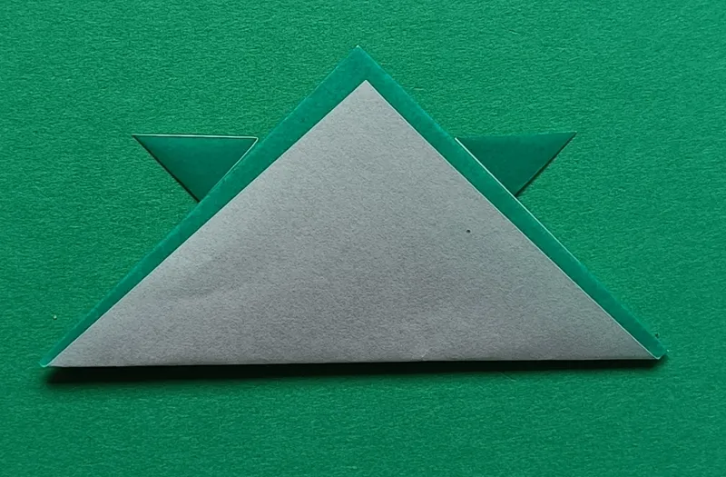 Fold the remaining bottom corner up