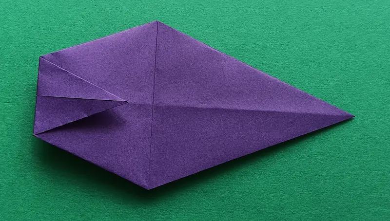 Fold the left corner to the right