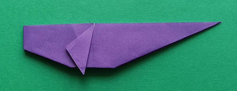 Fold the fin down (Do the same on the back)