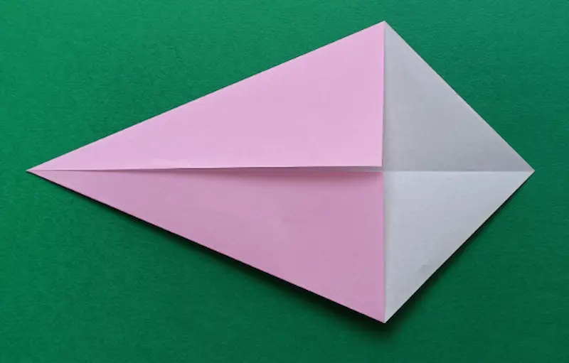 Fold the top corner to meet the center crease